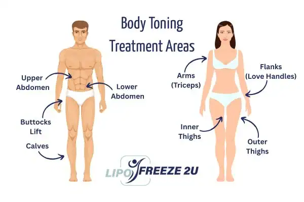 Graphic showing where you can have Body toning Treatment Suffolk on your body